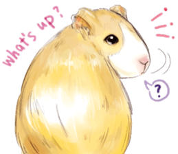 Capybara and Guinea pigs sticker #9633936