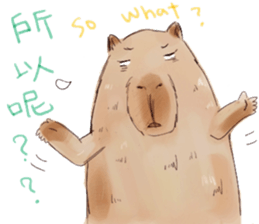 Capybara and Guinea pigs sticker #9633941