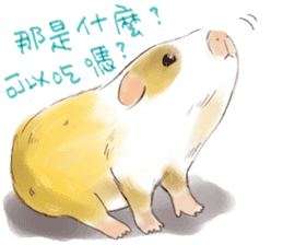 Capybara and Guinea pigs sticker #9633946