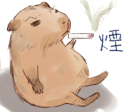 Capybara and Guinea pigs sticker #9633948