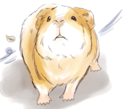 Capybara and Guinea pigs sticker #9633953