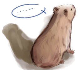 Capybara and Guinea pigs sticker #9633954