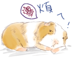 Capybara and Guinea pigs sticker #9633955
