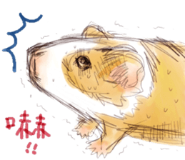 Capybara and Guinea pigs sticker #9633960