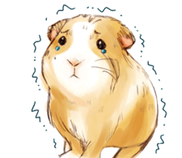 Capybara and Guinea pigs sticker #9633962