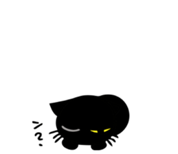 Very black cat 3 sticker #9637660