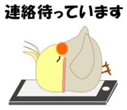 Mischievous a parakeet cyu3(Honorific) sticker #9640301
