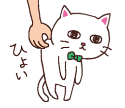 NEKONYAN BIYORI sticker #9640382