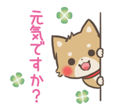 mild-Shiba-Inu -Honorific- sticker #9641308
