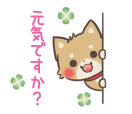 mild-Shiba-Inu -Honorific- sticker #9641308