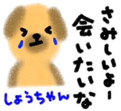 "syo-chan" only name stamp sticker #9642611