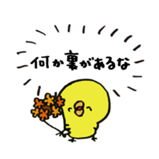 Chick true feelings is cylinder omission sticker #9642670