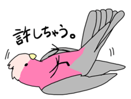 Multicolored little birds sticker #9643055
