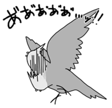 Multicolored little birds sticker #9643063
