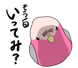 Multicolored little birds sticker #9643068