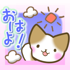 Message of the brown cat