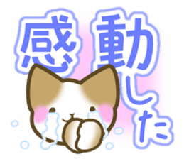 Message of the brown cat sticker #9643853