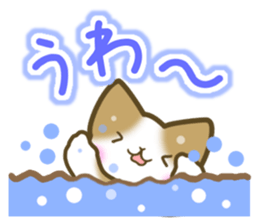 Message of the brown cat sticker #9643857