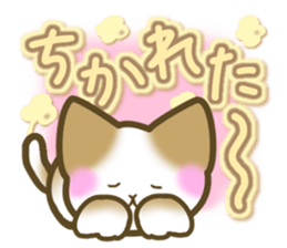 Message of the brown cat sticker #9643884