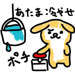 Pochi with powerful authority