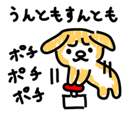 Pochi with powerful authority sticker #9643990