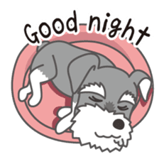 Lovely Dog "Miniature Schnauzer" sticker #9645094