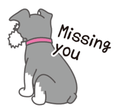Lovely Dog "Miniature Schnauzer" sticker #9645121