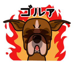 iinu - Boxer sticker #9647504