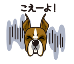 iinu - Boxer sticker #9647516