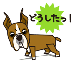 iinu - Boxer sticker #9647517