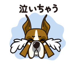 iinu - Boxer sticker #9647521