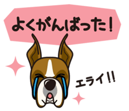 iinu - Boxer sticker #9647523