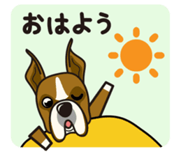 iinu - Boxer sticker #9647526