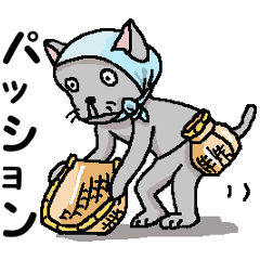 He is a cat named Gal 6