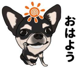 Everyday black Chihuahua sticker #9656912