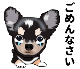 Everyday black Chihuahua sticker #9656925