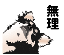 Everyday black Chihuahua sticker #9656926