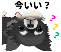 Everyday black Chihuahua sticker #9656928