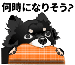 Everyday black Chihuahua sticker #9656934