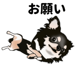 Everyday black Chihuahua sticker #9656935