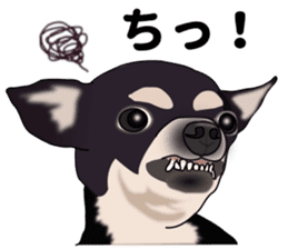 Everyday black Chihuahua sticker #9656940