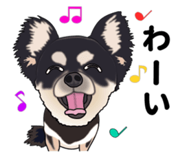 Everyday black Chihuahua sticker #9656941