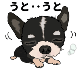 Everyday black Chihuahua sticker #9656945