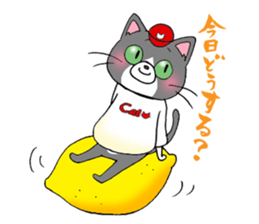 Hiroshima Cat 4 Spring sticker #9657526