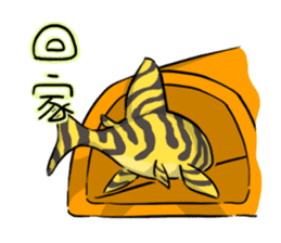 Pleco fish sticker #9658126