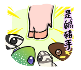 Pleco fish sticker #9658131