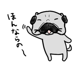 fukui pug sticker #9661352