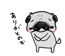 fukui pug sticker #9661355