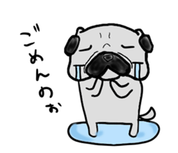 fukui pug sticker #9661356