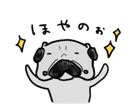 fukui pug sticker #9661357